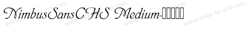 NimbusSansCHS Medium字体转换
